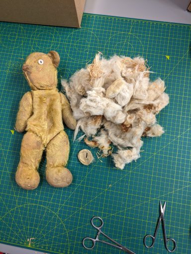 Mr Teddy had insects living in his stuffing 